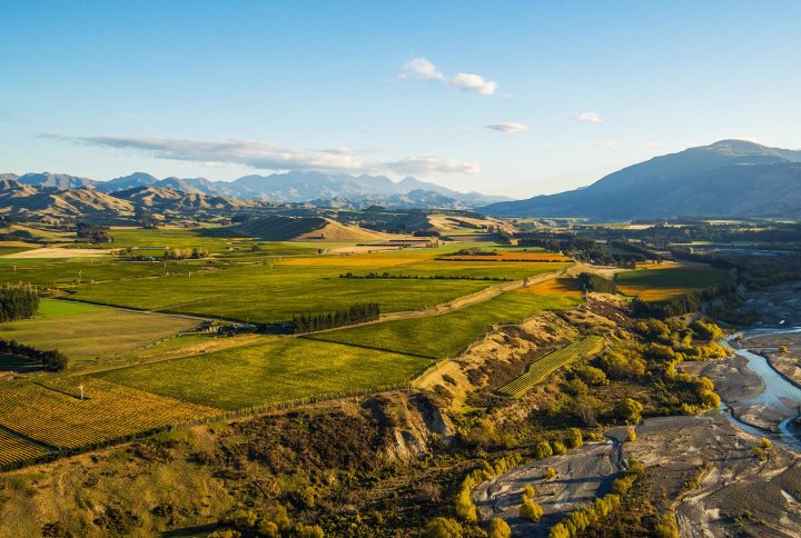 New Zealand Wine